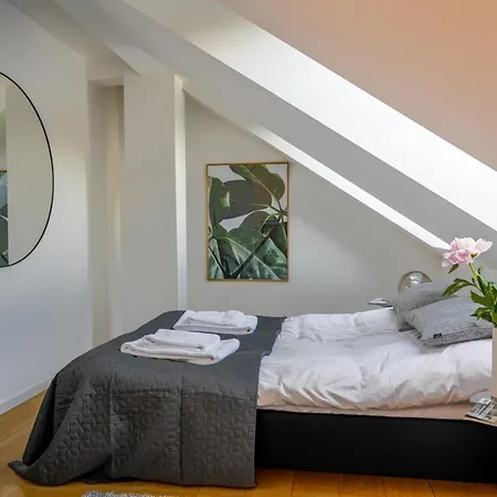 Appartement Spacious 3-bedroom With A Rooftop Terrace In The Center Of Copenhague