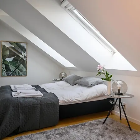 Spacious 3-bedroom With A Rooftop Terrace In The Center Of Apartmán Kodaň