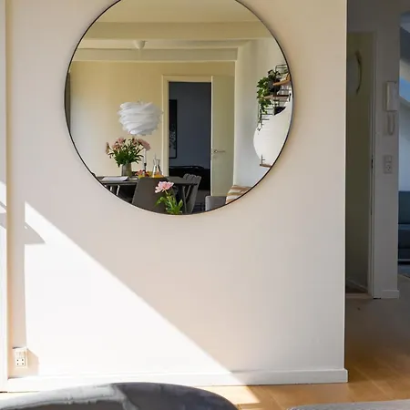 Apartment Spacious 3-bedroom With A Rooftop Terrace In The Center Of Copenhagen