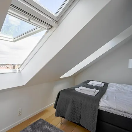 Apartment Spacious 3-bedroom With A Rooftop Terrace In The Center Of