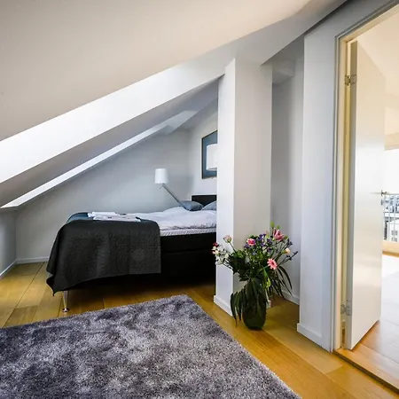 Spacious 3-bedroom With A Rooftop Terrace In The Center Of *