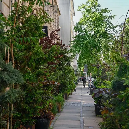 Spacious 3-bedroom With A Rooftop Terrace In The Center Of *